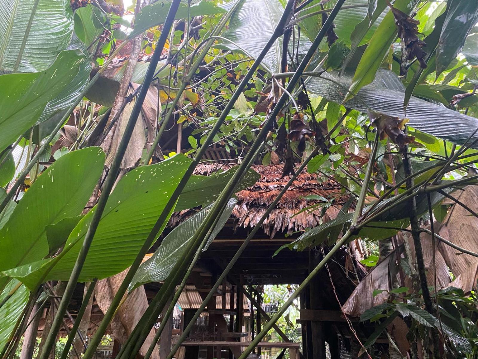 Xingu Camping Site Leticia Esterno foto