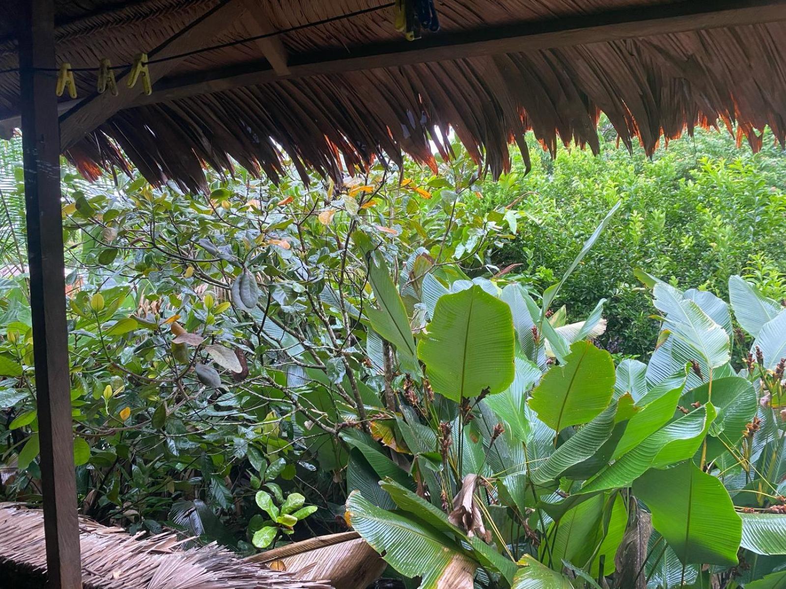 Xingu Camping Site Leticia Esterno foto