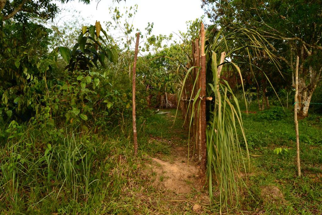 Xingu Camping Site Leticia Esterno foto