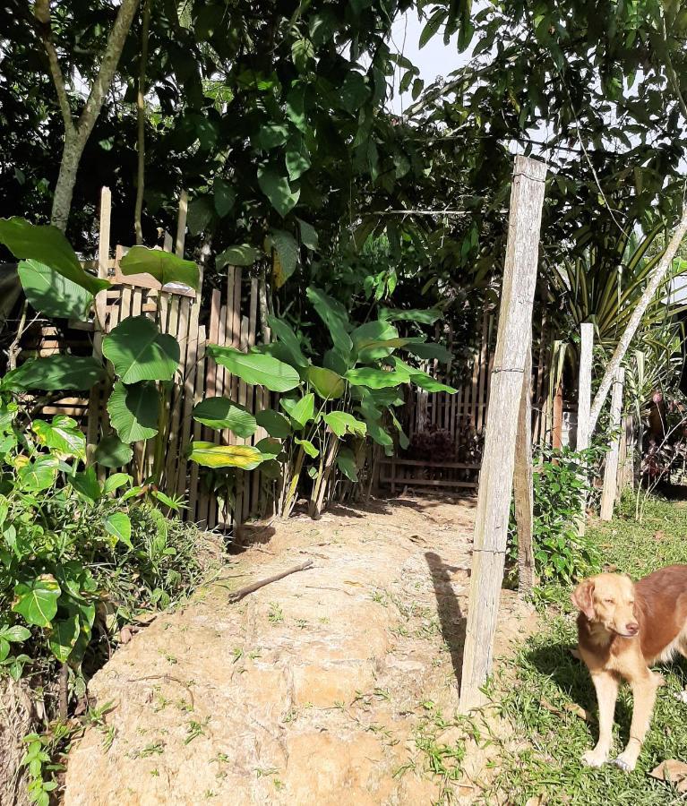 Xingu Camping Site Leticia Esterno foto