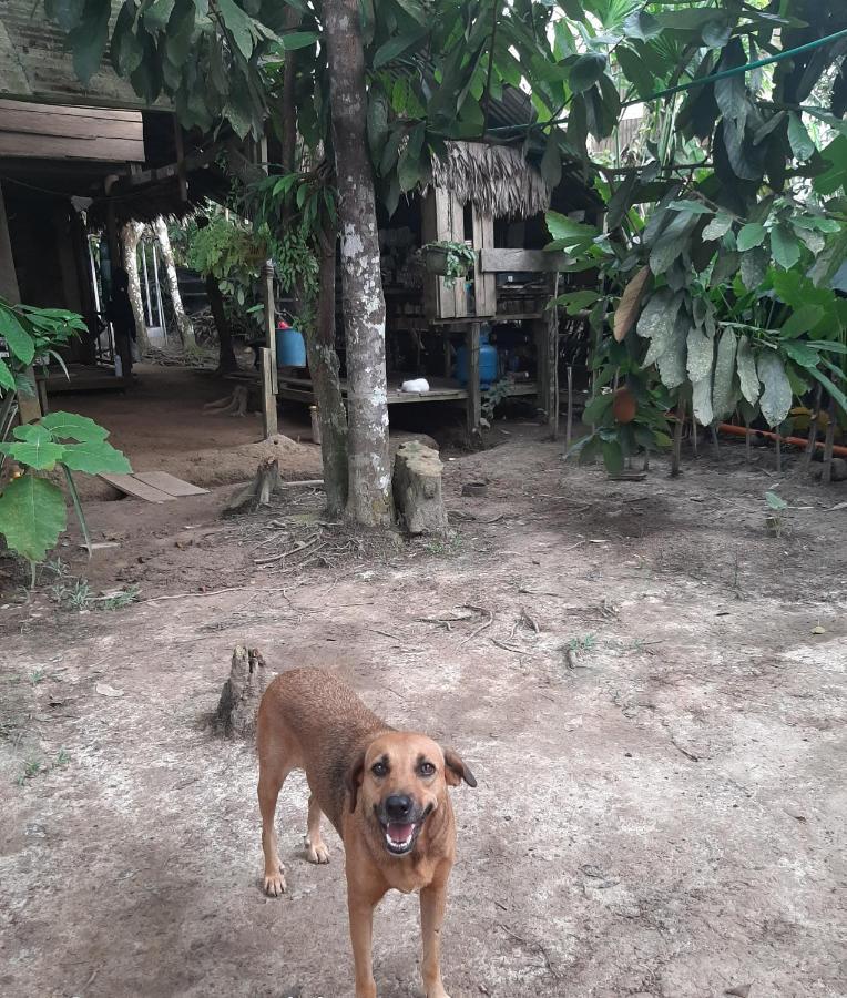 Xingu Camping Site Leticia Esterno foto